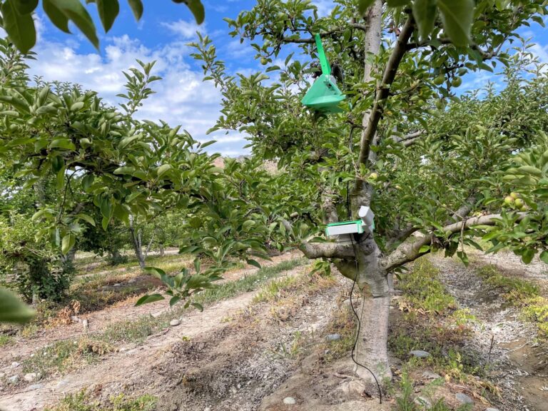 dispositivo neltume agro. v5
