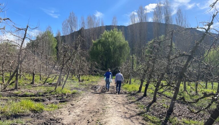 neltume en el campo