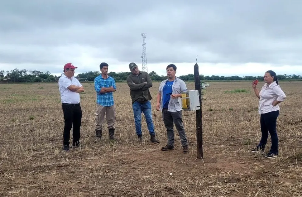 Neltume presenta su monitoreo remoto de Dalbulus maidis en seminario de IICA en Tucumán, Argentina Md