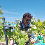 Inicio marcelo lorca