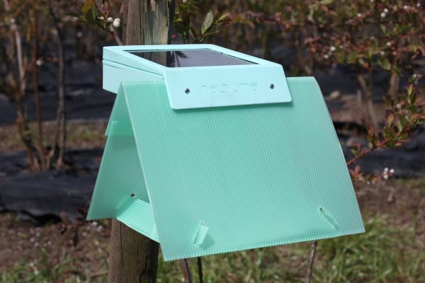 Monitoreo de Polilla de la Vid o Lobesia Botrana neltume monitor